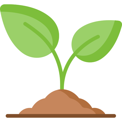 plants