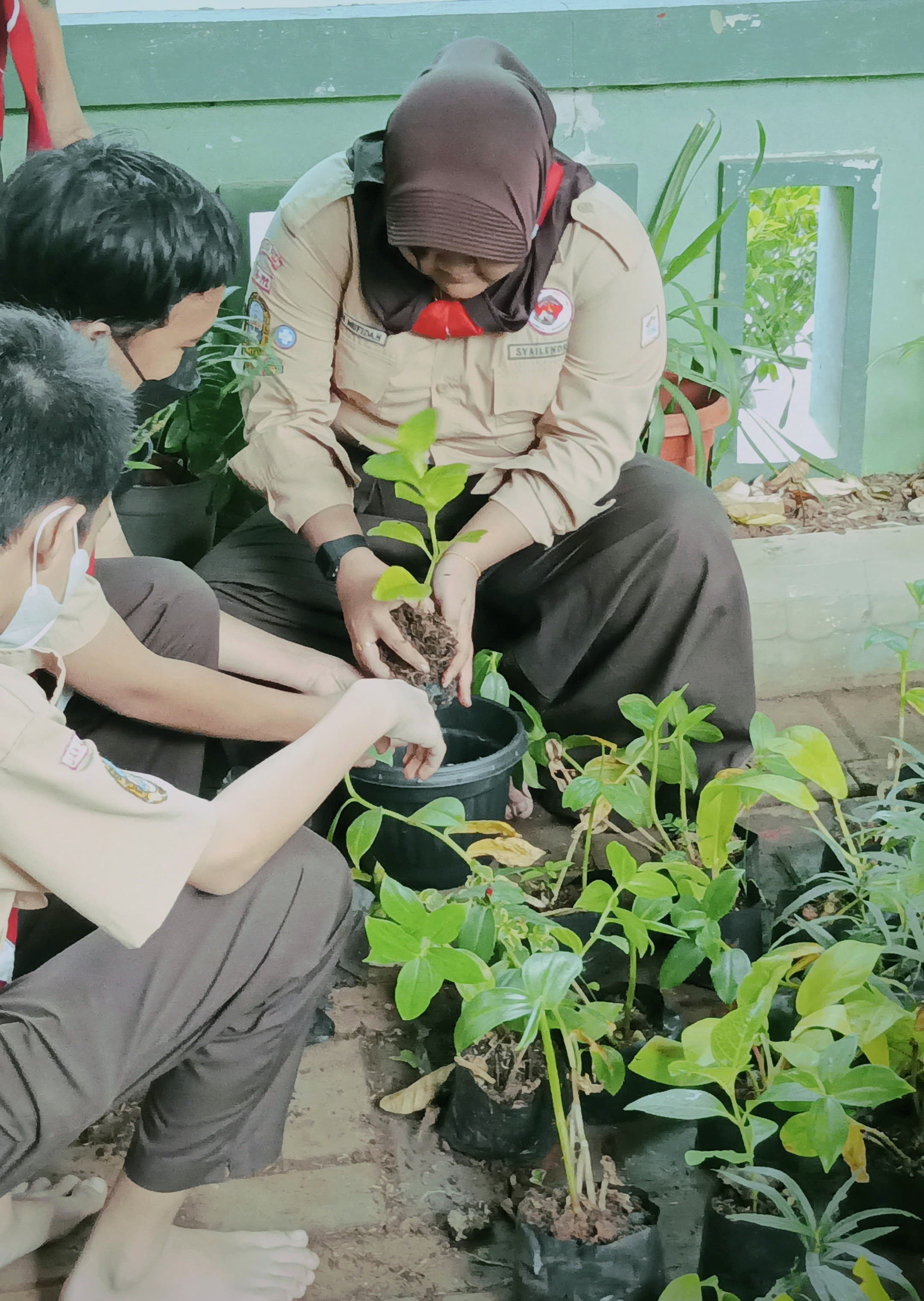 Tanam tanaman
